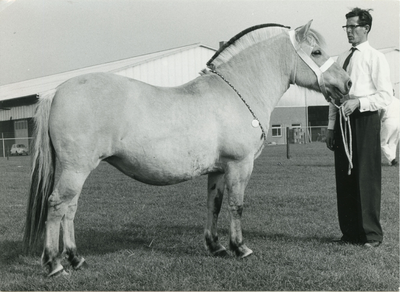 1882 Paardenfokdag Grubbenvorst, 1965-09-25