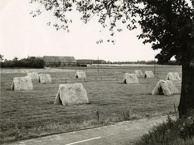 1899 Hooioogst, 1963