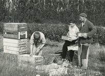 1943 Kersen en bessen, 1979