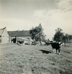 1995 Proefboerderij Beesel, 1938-1939