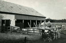 1997 Proefboerderij Campsplaats in Horst, 1958