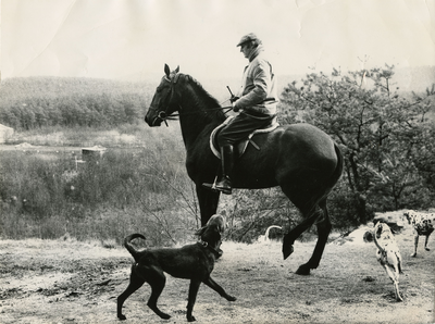 2005 Ruiter te paard met jachthonden, 1970