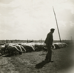 2065 Boer met kudde schapen, 1938-1939