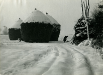 2123 Winter, 1954