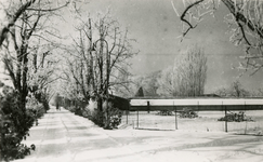 2132 Winter, 1959