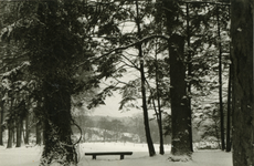2134 Winter, 1955