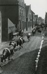 2152 Koeien lopen door de straten van Wessem, 1935-1945