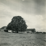 2181 Proefboerderij Hoosterhof in Beesel, 1938-1939