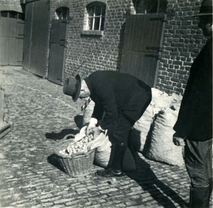 2463 Aardappelteelt, 1938-1939