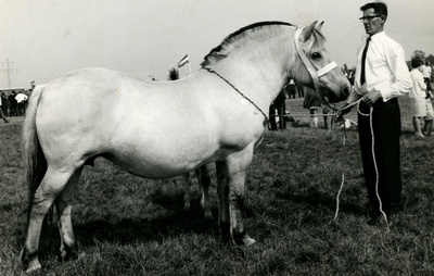 2515 Paardenfokdag Neer, 1968-07-13