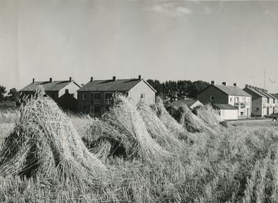 2665 Woningbouw bij landbouwgebied, 1968