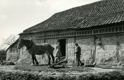 2683 Een boer dorst het graan met behulp van een tredmolen, 1950-1960
