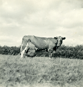 2767 Koeien melken, 1938-1939