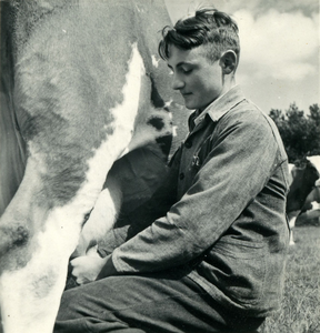 2768 Koeien melken, 1938-1939