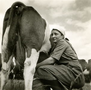 2769 Koeien melken, 1938-1939
