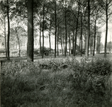 2863 Landschap met bomen en boerderij Hoeve Ghoor, 1938-1939