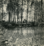 2864 Landschap met bomen, een beek en boerderij Hoeve Ghoor, 1938-1939