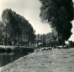 2873 Landschap met runderen bij een beek of rivier, 1938-1939