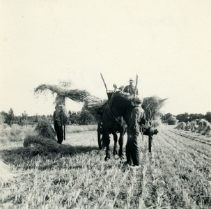 2898 Graanoogst in Heijen, 1938-1939