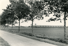 3171 Boerderij met veestal, 1983