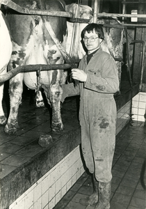 3202 Jonge boer verzorgt zijn koeien, 1982