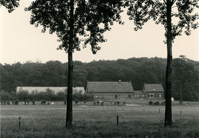 3235 Boerderij in Geijsteren, 1982