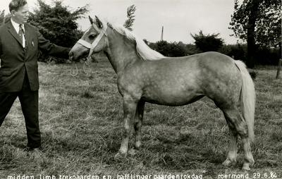3295 Paardenfokdag Roermond, 1964-06-29