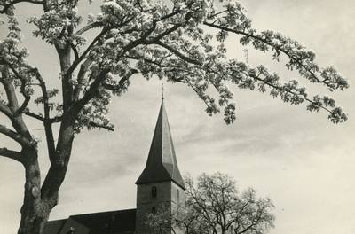3320 Kerktoren met bloeiende boom, 1956