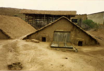 3395 Landbouw in Bolivia, 1987
