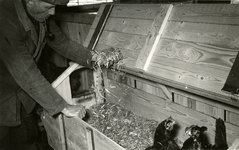 3451 Kippen in een houten box, 1957