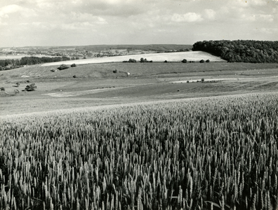 3465 Landschap in Zuid-Limburg, 1970-1980