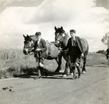 3467 Paardenfokdag, 1938-1939