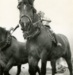 3473 Jonge boer op een paard, 1938-1939