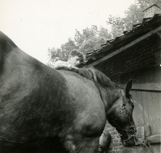 3479 Paard, 1938-1939