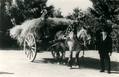 3507 Paardenfeest Sint-Odilienberg, 1980-1987