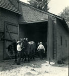 3764 Inspannen van paarden, 1938-1939