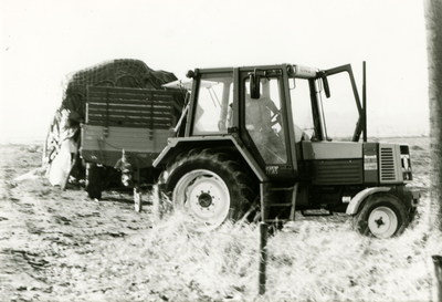 3786 Tractor, 1981-1995