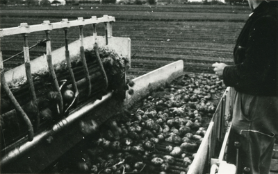 3810 Aardappelrooier, 1970
