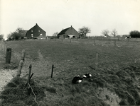 3824 Boerderij Hout-Blerick, 1960-1980