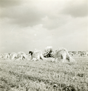 4005 Graanoogst, 1938-1939