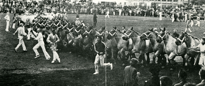 4032 Demonstratie van trekpaarden, 1960-1970