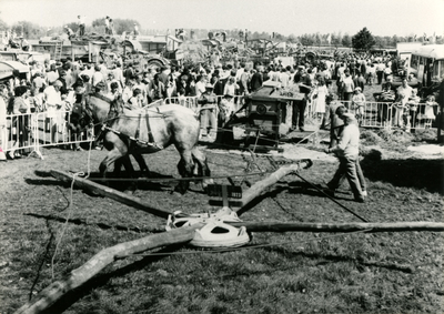 4033 Demonstratie oude ambachten in Tongeren, 1970-1990