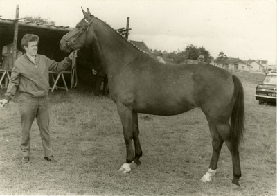 4147 Paardenfokdag Ell, 1970-1980