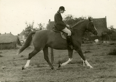 4148 Paardenfokdag Ell, 1970-1980