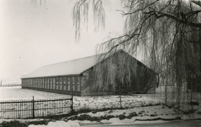 4168 Veestal in de sneeuw, ca. 1955