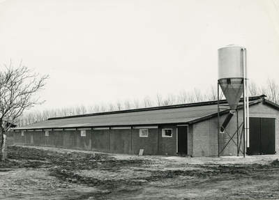 4176 Pluimveehouderij Van Nieuwenhoven, 1960-1970
