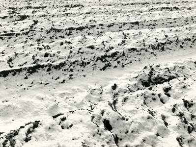 4181 Sneeuw op een akker, 1960-1980