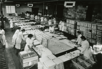 4185 Pluimveebedrijf of eiermijn, 1960-1980