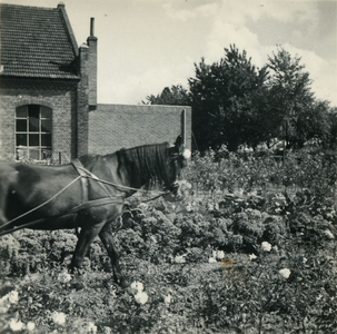 4198 Landbouwschool, 1938-1939