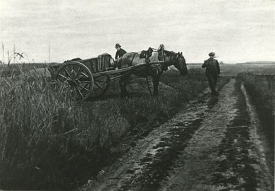 4222 Twee boeren op het land met paard en wagen, 1900-1920